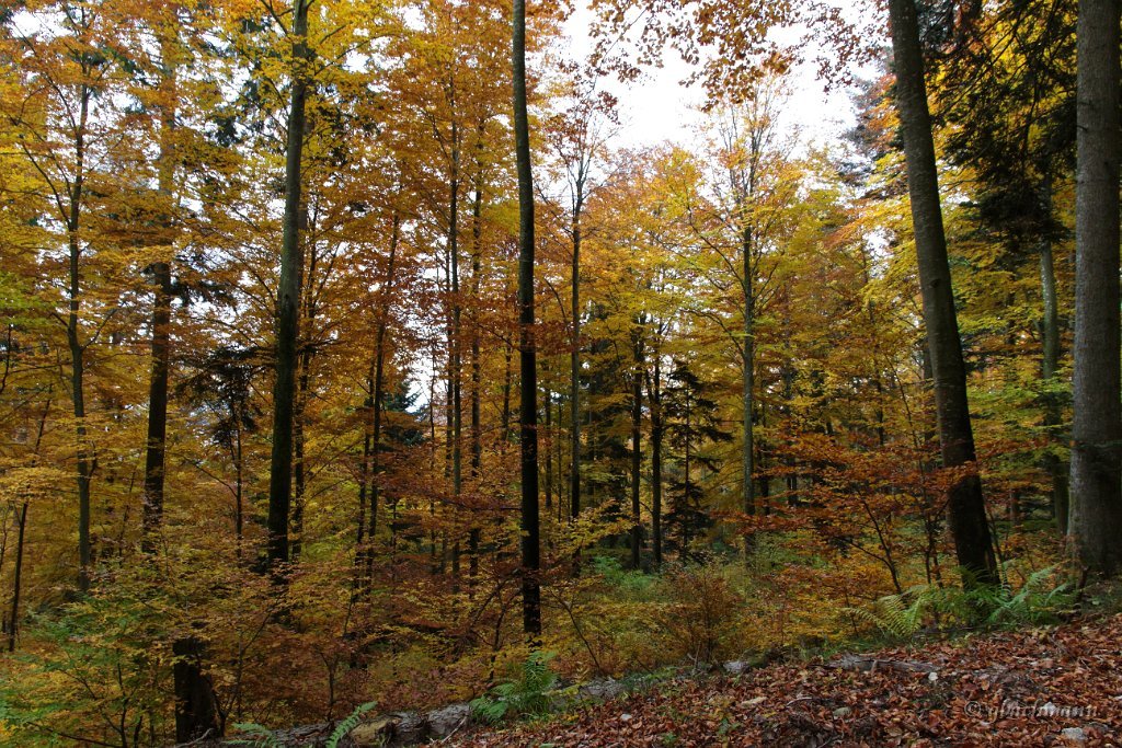 20101030_280
